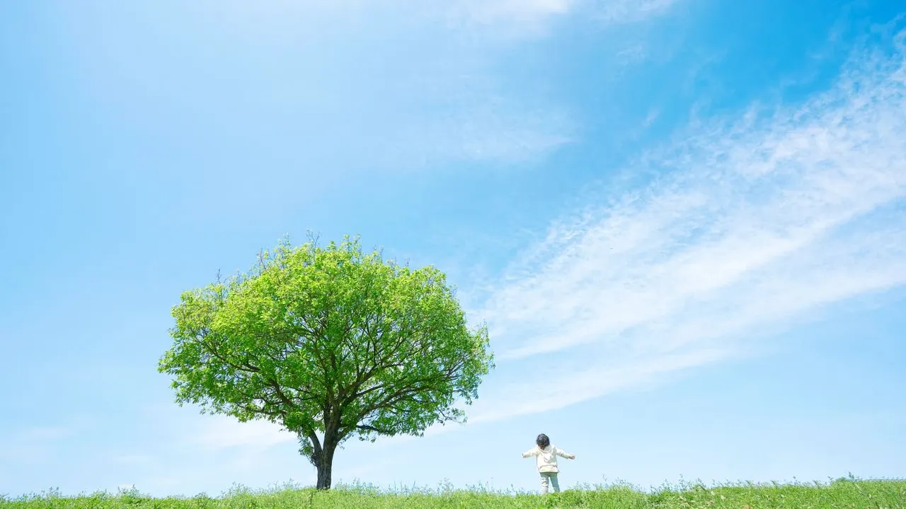 Carbon Capture and Storage: Methods and Deployment | CCS Technology