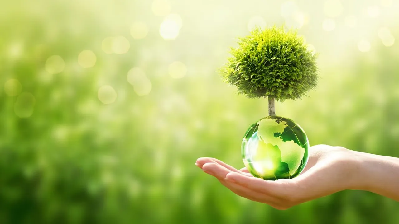Creating Sustainable Cities: Green Urban Planning