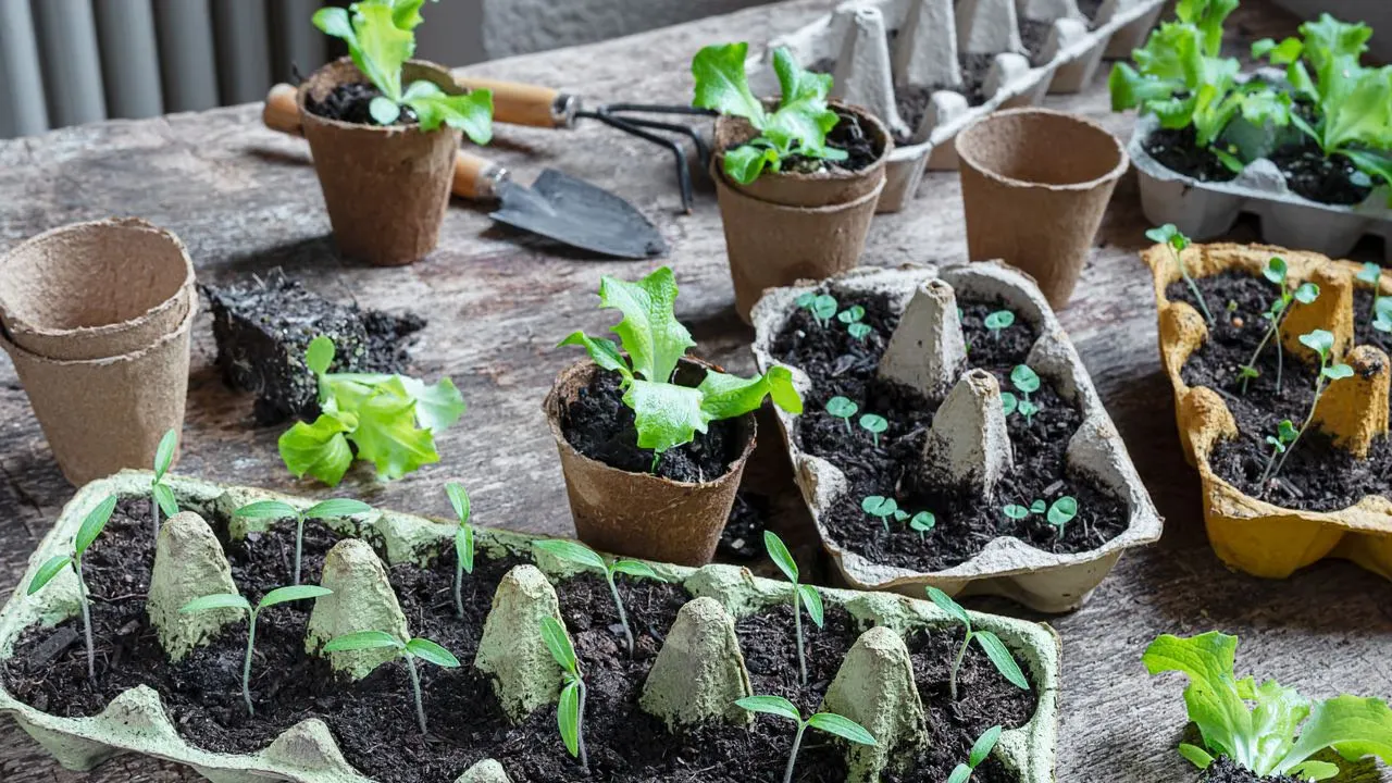 Green Packaging Solutions: Sustainable Packaging & Alternatives