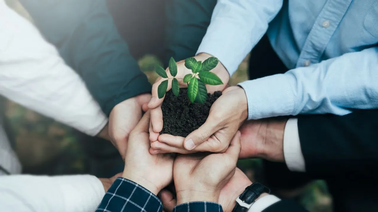 Sustainable Materials and Construction: Building for a Greener Future