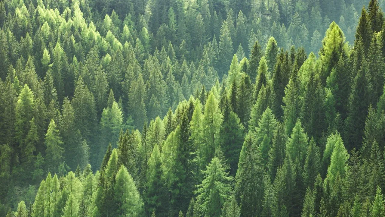 Water Conservation Technologies: Preserving Our Resource