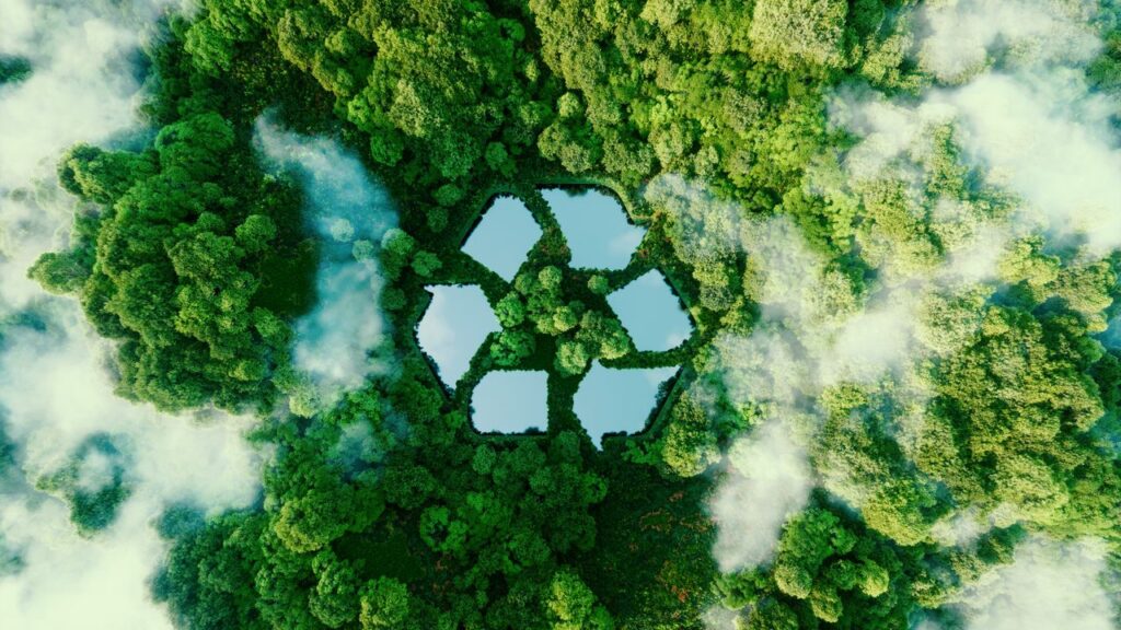 "Understanding the Circular Economy: Remanufacturing, Initiatives, Reuse, and Recycling"