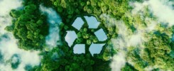 Green Packaging Solutions for a Sustainable Future